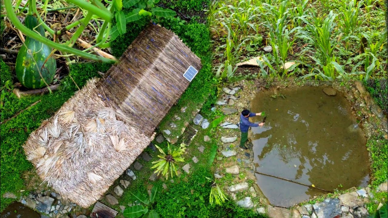 Trở Lại Căn Nhà Bỏ Hoang Lâu Ngày |Trú Ẩn Nơi Hoang Dã
